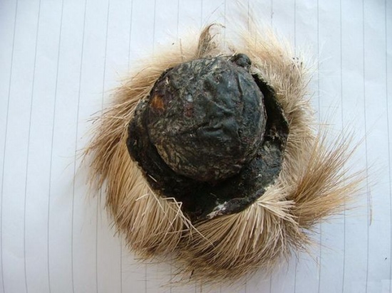 片仔癀是什么東西有什么作用