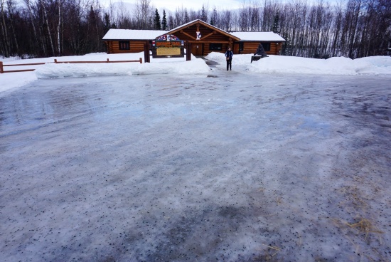 阿拉斯加第50屆Iditarod狗拉雪橇比賽