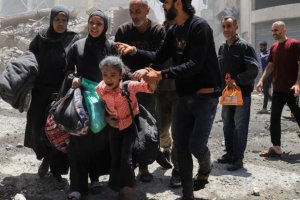 加沙?；鹦蝿輫谰?以